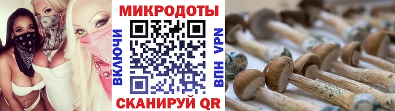 Галлюциногенные грибы MAGIC MUSHROOMS хочу Отрадное