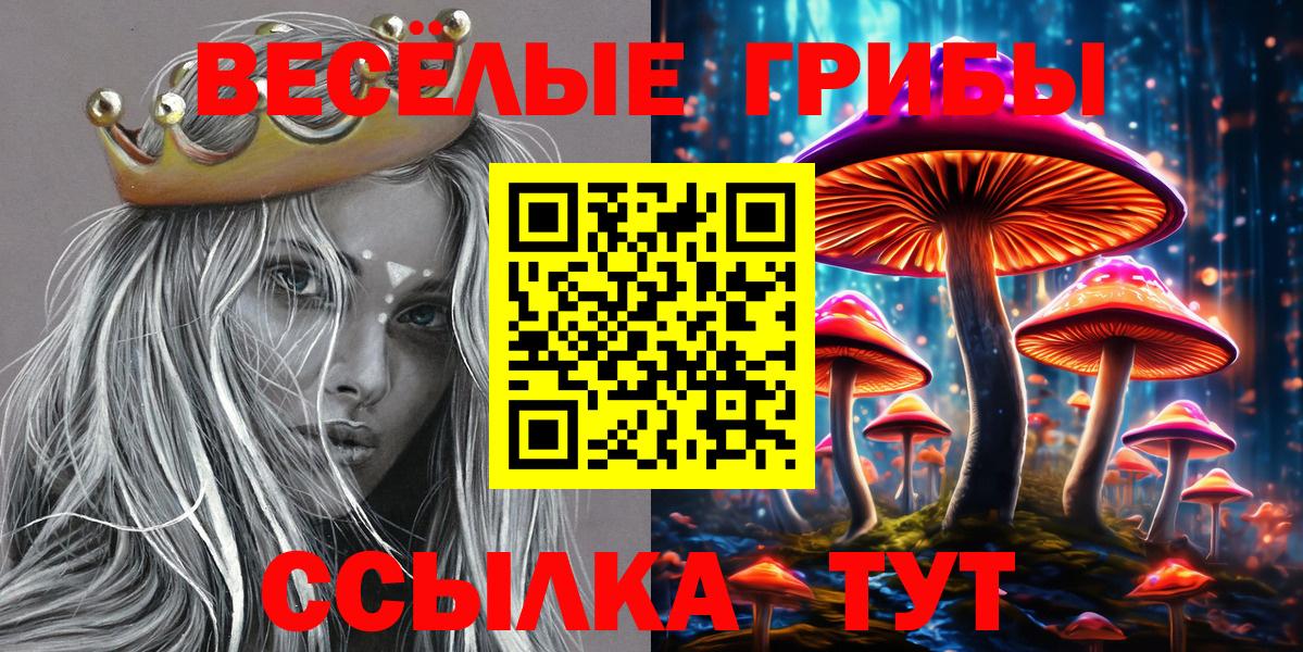 Отрадное  Галлюциногенные грибы MAGIC MUSHROOMS  Вход с VPN  Галлюциногенные грибы Psilocybe 